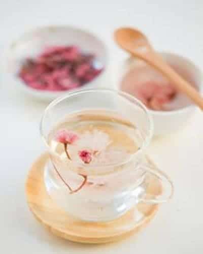 Trà Sakura thức uống mang vẻ đẹp tinh khiết