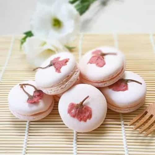 Sakura macaron mang hương vị đặc trưng của mùa Xuân