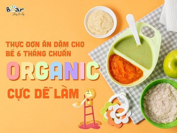 Thực đơn ăn dặm cho bé 6 tháng chuẩn organic