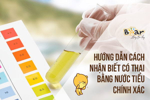 Hướng dẫn cách nhận biết có thai bằng nước tiểu chính xác