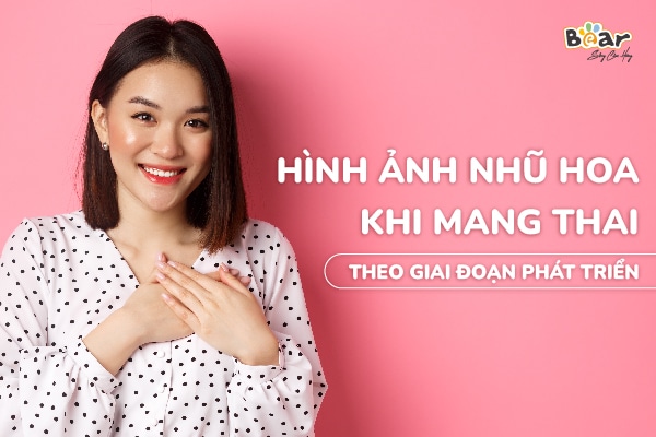 Sự thay đổi của hình ảnh nhũ hoa khi mới mang thai