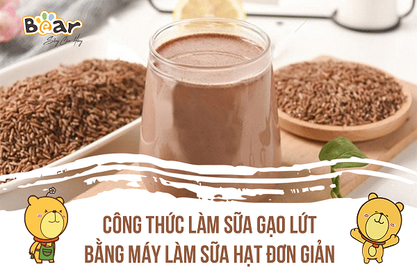 Hướng dẫn cách làm sữa gạo lứt bằng máy làm sữa hạt