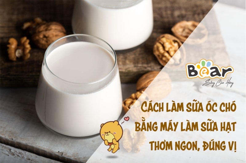 Hướng dẫn cách làm sữa óc chó bằng máy làm sữa hạt