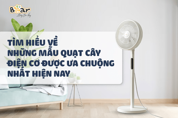 Tìm hiểu về những mẫu quạt cây điện cơ được ưa chuộng nhất hiện nay