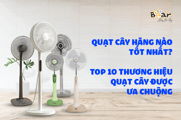 Quạt cây hãng nào tốt? Top 10 loại quạt cây được ưa chuộng