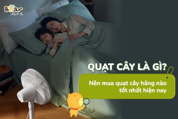 Tìm hiểu về thiết bị đồ gia dụng quạt cây