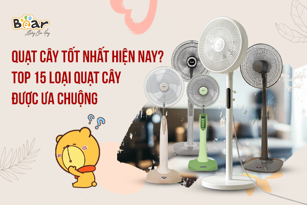 Tổng hợp những mẫu quạt cây tốt nhất hiện nay