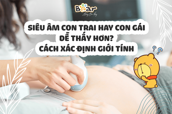 Siêu âm con trai hay con gái dễ thấy hơn?