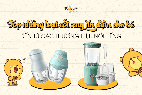 Những loại cối xay ăn dặm cho bé đến từ các thương hiệu nổi tiếng