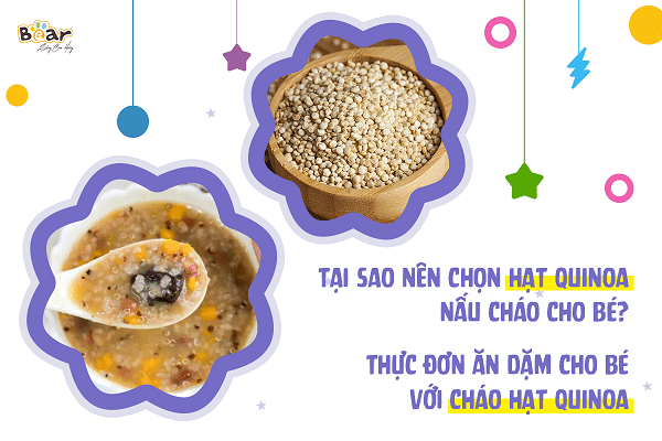 Tại sao nên chọn hạt quinoa nấu cháo cho bé? Thực đơn ăn dặm cho bé với hạt quinoa