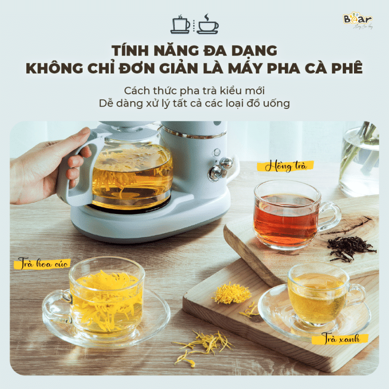 Các bước pha trà bằng máy pha cà phê Bear SB-CF06A