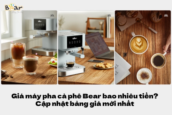 Giá máy pha cà phê Bear bao nhiêu tiền? Cập nhật bảng giá mới nhất