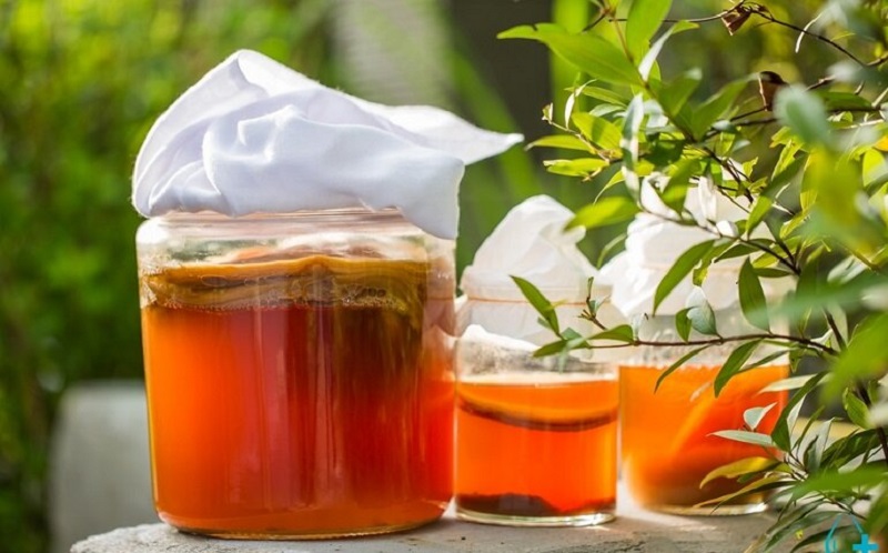 Kombucha có tác dụng gì đối với sức khỏe?