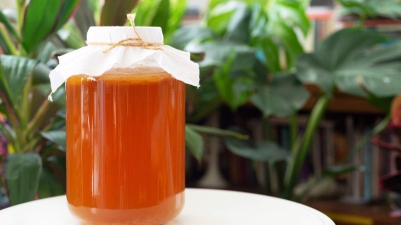 Kombucha là gì?