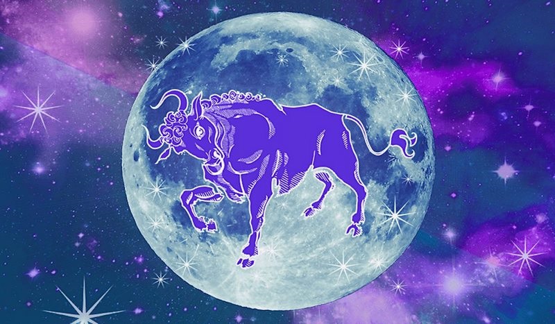 Taurus là cung gì? Tính cách của cung Taurus (Kim Ngưu)