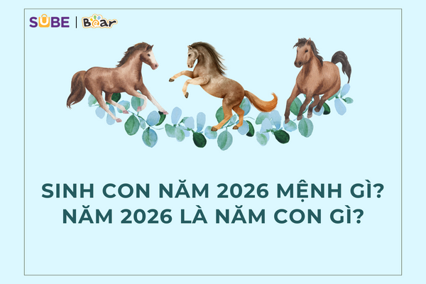 Sinh con năm 2026 mệnh gì? Năm 2026 là năm con gì?