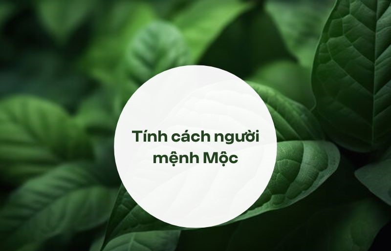 Mệnh Mộc hợp màu gì? Tính cách của người mệnh Mộc