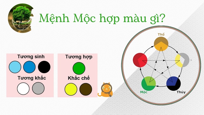 Người mệnh mộc hợp màu gì? Màu xanh dương