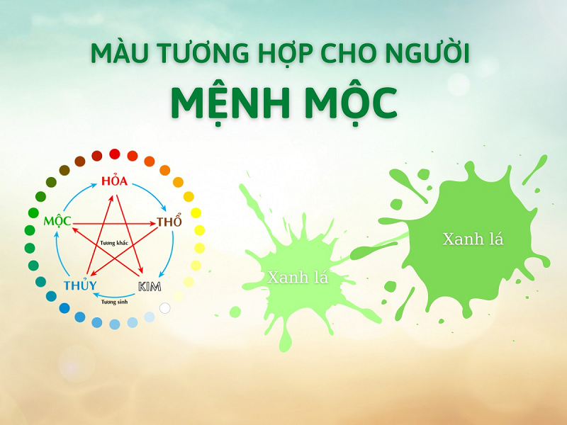 Mệnh Mộc hợp màu gì? Mệnh Mộc hợp màu tím không?