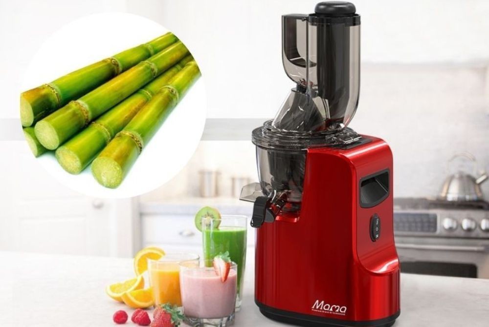 máy ép trái cây có ép được mía không