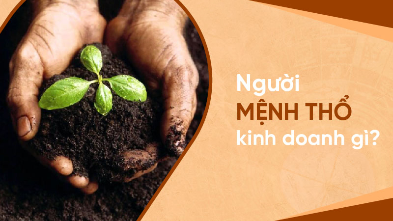 11 mặt hàng kinh doanh phù hợp mệnh Thổ giúp Đất Hóa Vàng