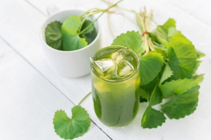 cách làm nước rau má bằng máy ép chậm