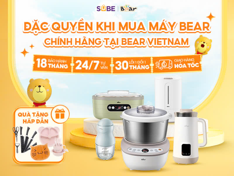 máy xay sinh tố bear