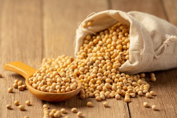 6+ Tác dụng của hạt đậu nành đối với sức khỏe bạn nên biết