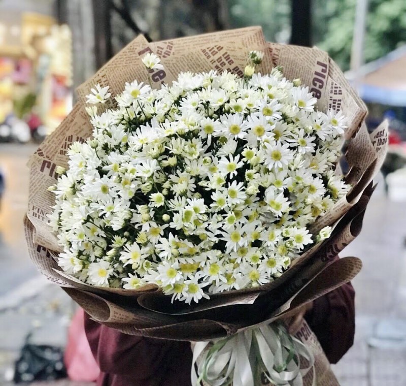 Bó hoa cúc trắng dành tặng người bạn yêu thương