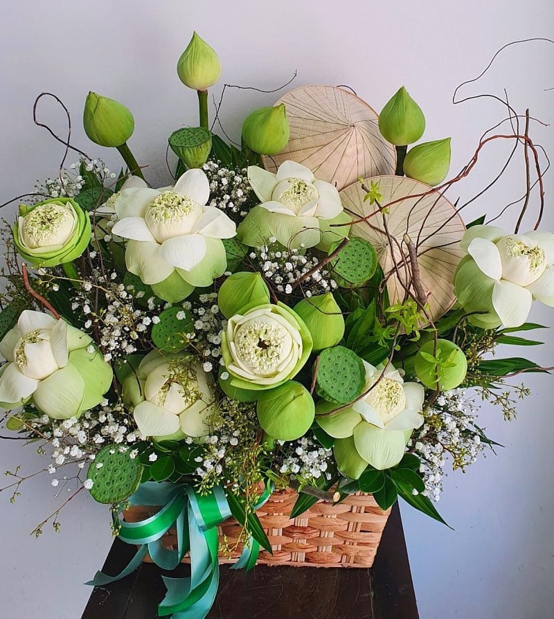 Hoa sen trắng như món quà ý nghĩa tặng cho người thân trong gia đình