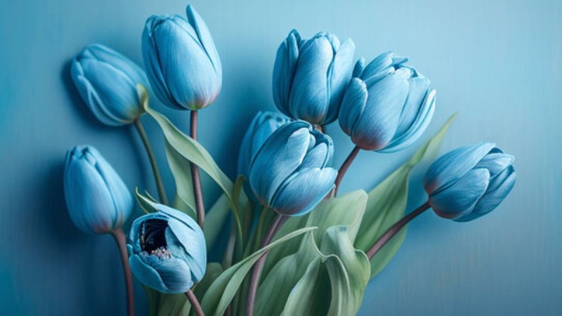 Ý nghĩa tulip xanh