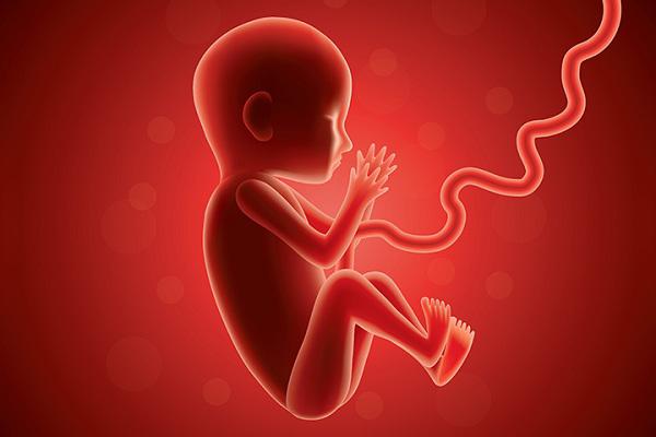 Thai nhi 1 tháng tuổi có linh hồn chưa? Phá thai khi chưa có tim thai có tội không?